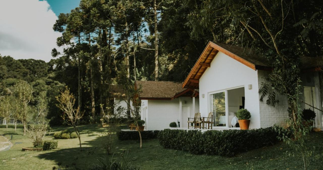 Roots Resort