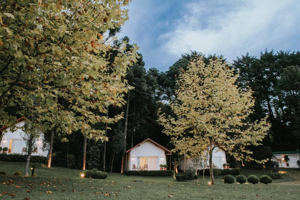 Roots Resort